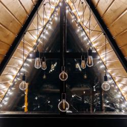 Фото Отель Хвойная хижина