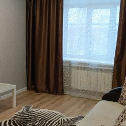 Фото Апартаменты на улице Ойунского 7