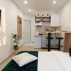 Фото Апартаменты на улице Рауиса Гареева 105Б