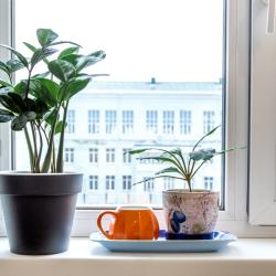 Фото Отель Гости на улице Чехова