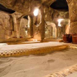 Фото Grand Wellness Hotel & SPA (Гранд Веллнесс Отель и СПА)