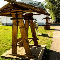 Фото Отель Афоня