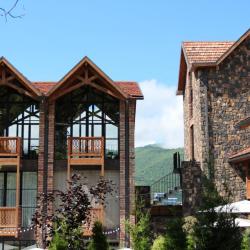 Фото Отель Dilijani Tun Hotel ( Тун)