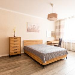 Фото Апартаменты на улице Алексеева 107