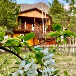 Номер стандарт с 1 двуспальной кроватью (мансарда) (корпус 1)