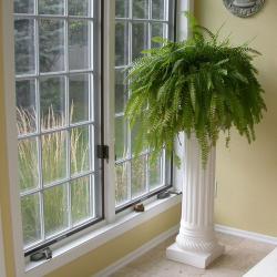 Фото Отель Lotus (Лотос)