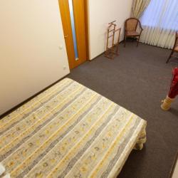 Номер люкс (с завтраком)