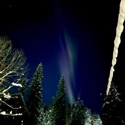 Фото Отель Лапландия