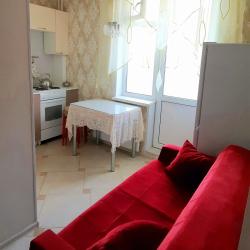 Фото Апартаменты на улице Спутника 38