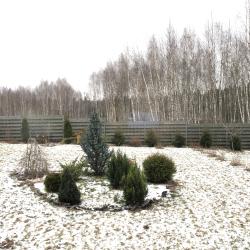 Фото Отель Рузские