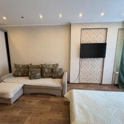 1-комнатные апартаменты стандарт Карла Либкнехта 114