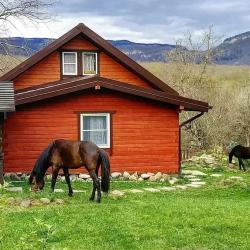 Фото Отель Дрозды