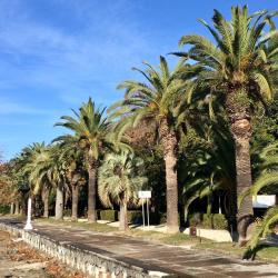 Фото Отель База отдыха Жоэквара