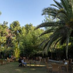 Фото Отель Апсара (Apsara)