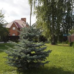 Фото Отель Марьяна