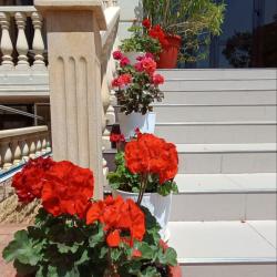 Фото Отель Diva Plaza (Дива Плаза)