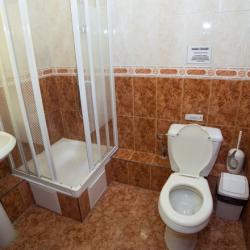2-комнатный номер стандарт с 1 двуспальной кроватью (с завтраком, мансарда)