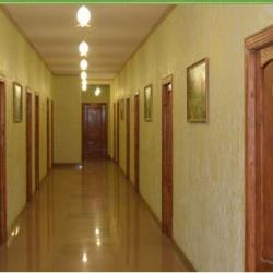 Русский лес — 99cf697a39ec7a514c9ee77c1a999d00