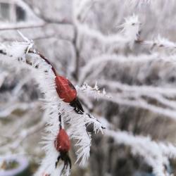 Фото Отель Горы да Река