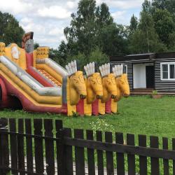 Фото Отель Новокурово