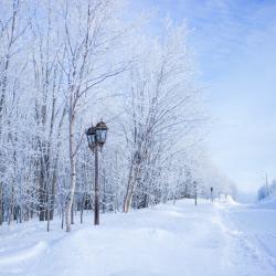 Фото Отель Лапландская деревня
