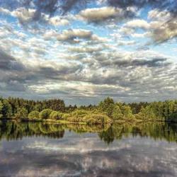 Фото Отель НиКиТа