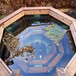 Фото Отель Wood House (Вуд Хаус)