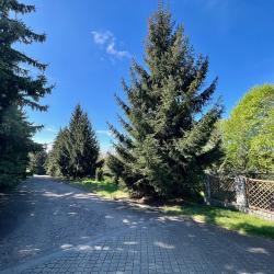 Фото Отель Агата