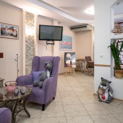 Фото Отель Фламинго