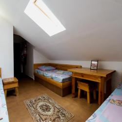 Фото Отель Родина