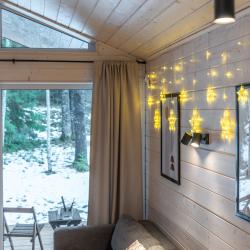 Дом с видом на лес гостиная со спальней (40 кв.м)