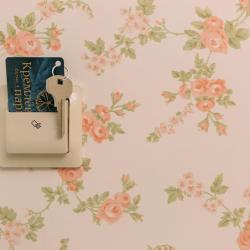 Фото Отель Кремлевский парк