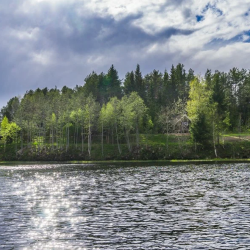 Фото Отель Алавойне