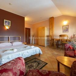 Фото Отель Родина