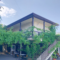 Фото Отель Vinograd (Виноград)