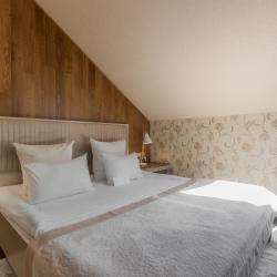 2-комнатный номер люкс с 1 двуспальной кроватью (мансарда) № 5