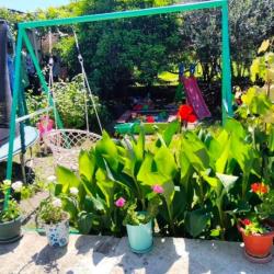 Фото Отель Гранатовый дворик (домики)