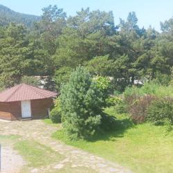 Фото Отель Индиго