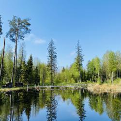 Фото Отель Green Park Conference & Spa Hotel (Грин Парк)