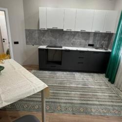 Фото Апартаменты на улице Кабанбай Батыра