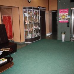 Фото Отель Angel Hotel (Ангел)