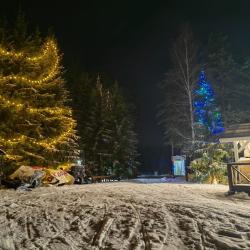 Фото Отель Эко Парк Большая Рыба