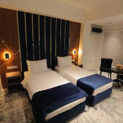 Номер делюкс с 2 односпальными кроватями