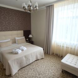 2-комнатный номер люкс с 1 двуспальной кроватью (с завтраком)