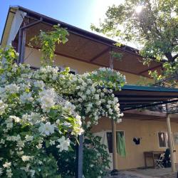 Фото Отель М33