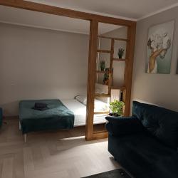 Фото Апартаменты на улице Тухачевского 241