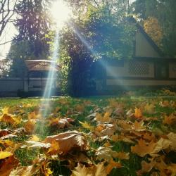 Фото Отель Бунгало