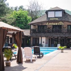 Фото Отель Лотос