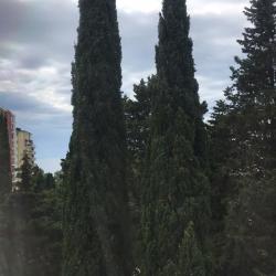 Апартаменты стандарт с 1 спальней