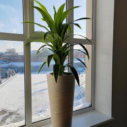 Фото Отель Панорама